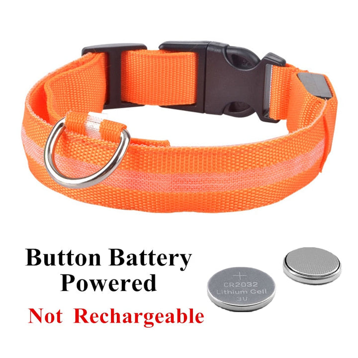 Adjustable LED Glowing Pet Collar